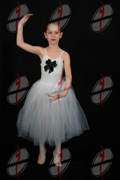 DSC09645.jpg